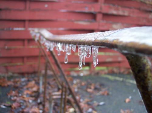 Iced Bike Rack