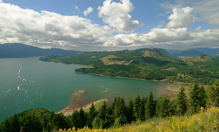 Riffe Lake Scenery