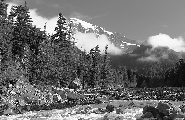 Mount Rainier ( black and white )