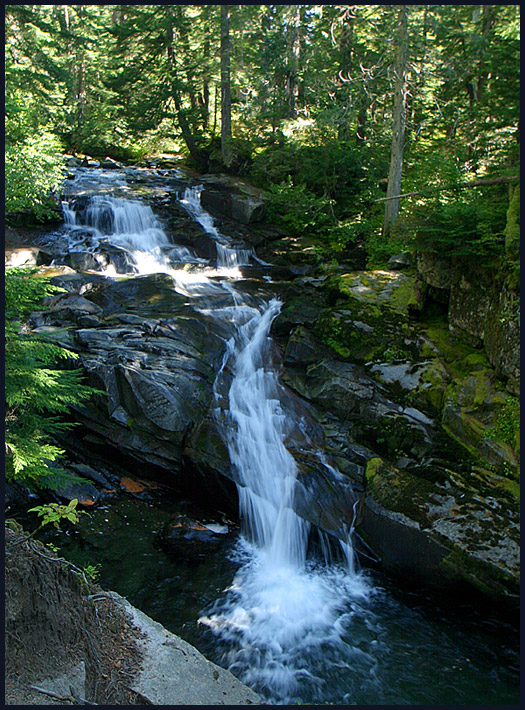 Water from Mount Rainier