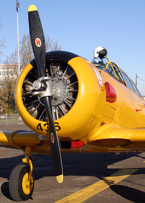 WWII Airplane