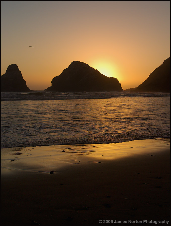 Heceta Head Sunset!