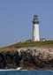 Yaquina Head Lighthouse!