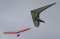 Gliders Sharing Airspace