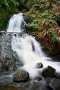 Shepperd's Dell Waterfall