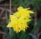 Beckoning Spring II