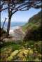 Devil's Churn on the Oregon Coastline